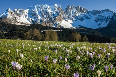 Erkunden Sie die wunderschöne Natur in Südtirol