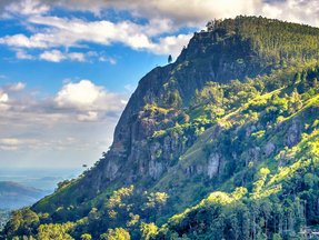 Ein Berg mit grünen Pflanzen bewachsen