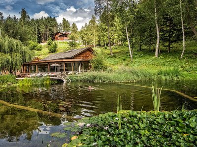 Erfrischen Sie sich im Naturbadeteich des Hotels Gasthof Saalerwirt 