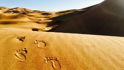 Die Sahara erstreckt sich über fast 6000 km quer durch Nordafrika