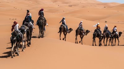 Beim Kameltrekking können Sie sich wie ein echter Wüstennomade fühlen