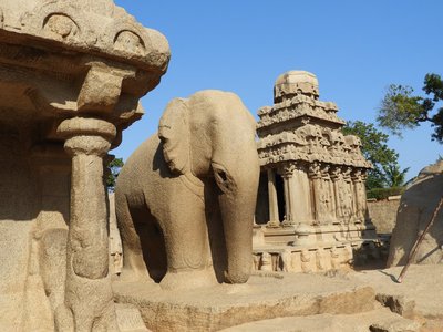 Von Steinmetzen gefertigter Elefant in Mahabalipuram