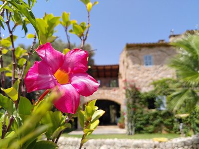 Blumen & eine Finca - Was möchte man mehr?