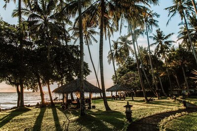 Ein Spaziergang bei Sonnenuntergang durch den Garten