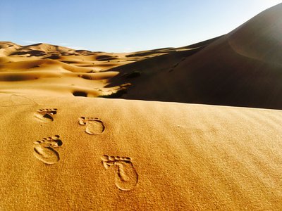 Die Sahara erstreckt sich über fast 6000 km quer durch Nordafrika