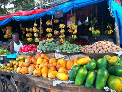 Auf dem Markt wird Obst aus der Region angeboten