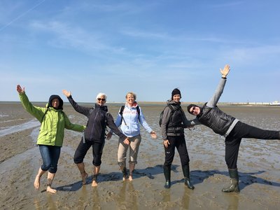 Lernen Sie das Wattenmeer auf einer ausgedehnten Wanderung kennen! 