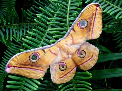 Erkunden Sie die tropische Natur im Umfeld der Lodge