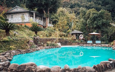 Der Pool, eingebettet im exotischen Garten