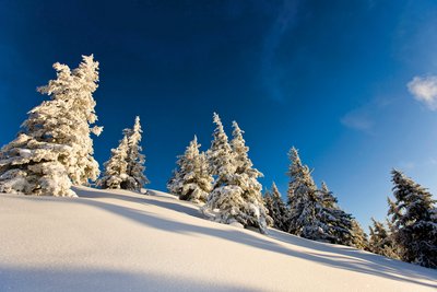 Die schneebedeckte Landschaft strahlt Ruhe und Frieden aus
