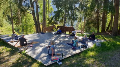 Bei der Yoga-Stunde war die Gruppe umgeben von grünen Wäldern und diesen sanften Vierbeinern.