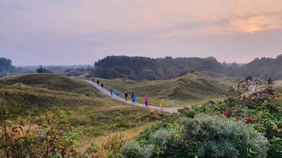 Neben dem Meer bietet Baltrum auch eine traumhafte Natur, die zum Walken in den Morgenstunden einlädt