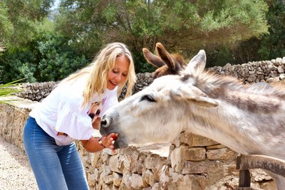 Drei Esel sorgen für pures Wohlfühl-Ambiente