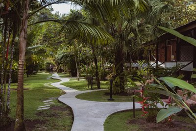 Die Bungalows liegen mitten im Grünen
