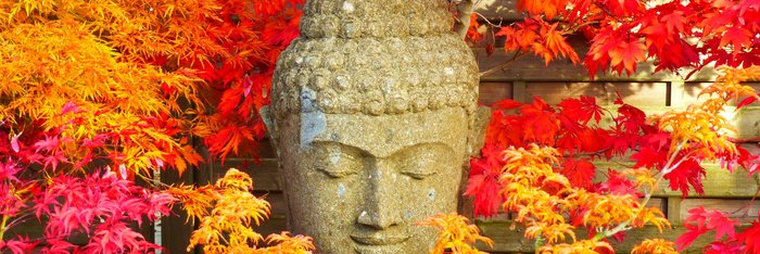 Der Kopf einer Buddha Statue inmitten von roten und gelben Pflanzen