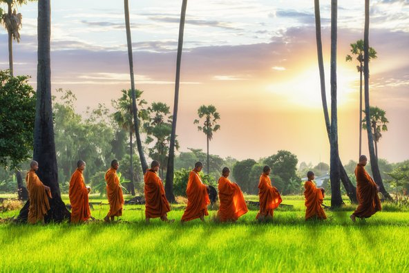 Buddhistische Mönche gehen nacheinander in einer Reihe mit einer Schüssel in der Hand über ein Reisfeld