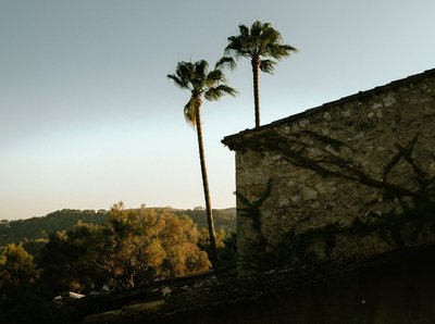 Die Stimmung der Finca bei Sonnenuntergang