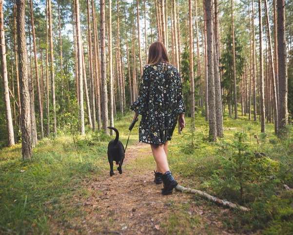 Eine Frau geht mit ihrem Hund in einem Wald spazieren