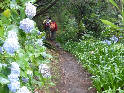 Beim Wandern die berühmten Levadas von Madeira erkunden