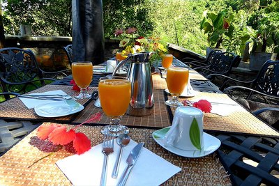 Probieren Sie die Vielzahl gesunder und exotischer Getränke