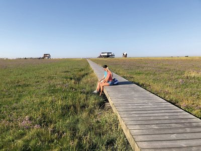 Weg zum Strand von St. Peter-Ording