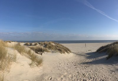 Tiefes Einatmen an der Brandung der Nordsee