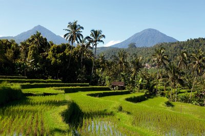 Bali Reiseterrassen