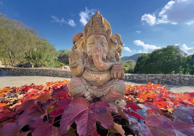 Der Ganesha thront im Garten der Finca Son Mola Vell