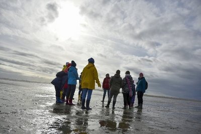 Der Höhepunkt der Reise: Wattwanderung