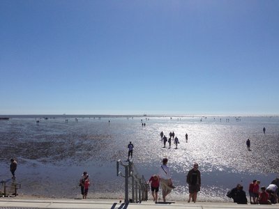 Wattwanderung vor Büsum