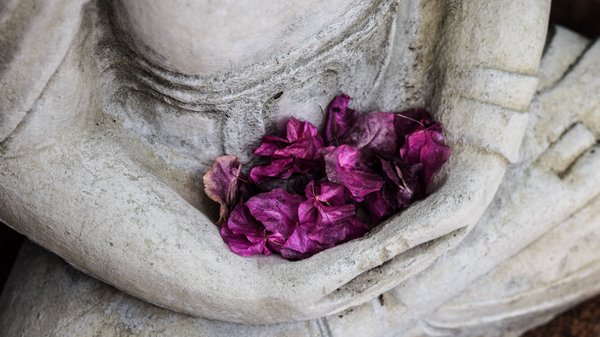 Eine Buddha Statue mit lilanen Blüten