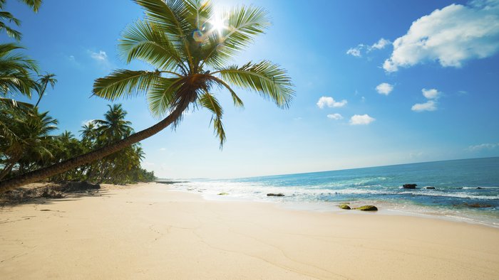 Ein Sandstrand mit türkisblauem Meer, Sonne und einer Palme 