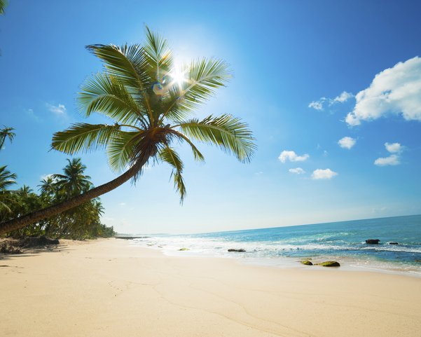 Ein Sandstrand mit türkisblauem Meer, Sonne und einer Palme 