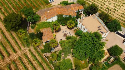 Das Alaya Retreat inmitten der Weinreben