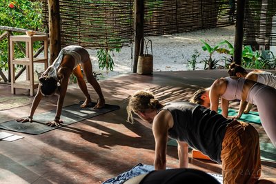 Wohltuende Yoga-Einheiten in der luftigen Shala