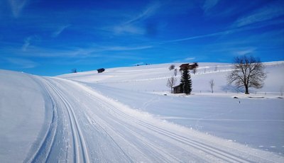 Umgeben von fantastischen Schneelandschaften