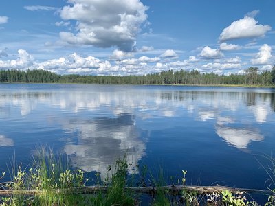 Sommerliche Seenlandschaft im Norden Schwedens