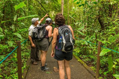 Lokale Flora und Fauna auf einer Wanderung durch den Regenwald entdecken