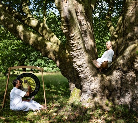 Gong Sound auf dem Baum