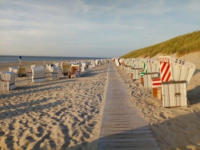Erkunden Sie den Strand auf Baltrum bei einem Spaziergang