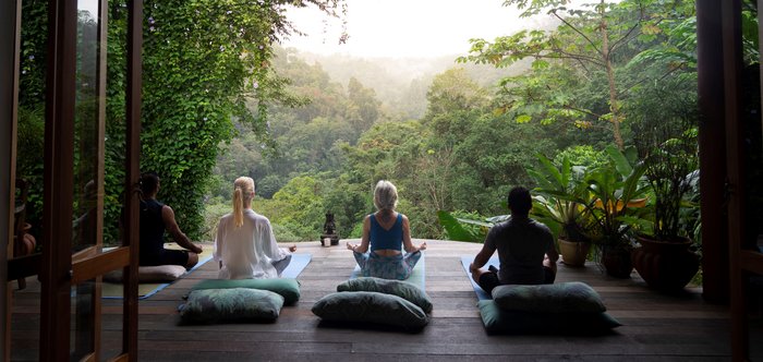 Menschen meditieren mit Blick auf den Regenwald