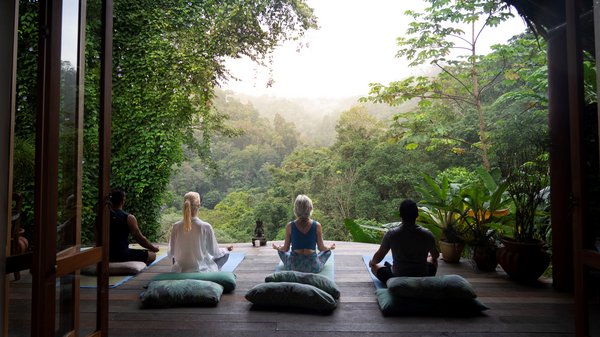 Menschen meditieren mit Blick auf den Regenwald