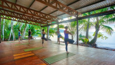 Machen Sie Yoga in der Gruppe umgeben von Palmen mit direktem Meerblick