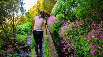 Levada Wanderung auf Madeira