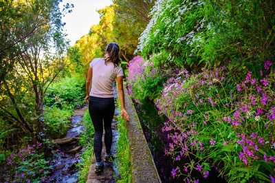 Levada Wanderung auf Madeira