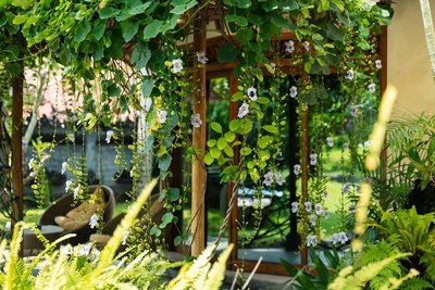 Yoga, Wellness und Natur - hier ist der ideale Ort für einen erholsamen Urlaub.