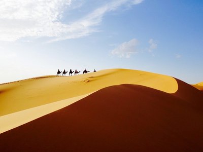 Mit den Kamelen durch die Wüste Sahara ziehen