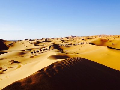 Die Sahara reicht von der Atlantikküste in Afrikas Westen bis zum Roten Meer im Osten