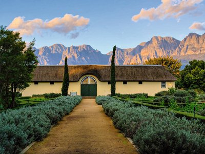 Zu Besuch auf einem der vielen Weingüter in Südafrika