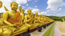 Eine Reihe von goldenen Budda Statuen auf einer Tempelanlage